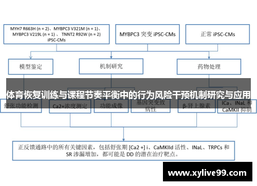体育恢复训练与课程节奏平衡中的行为风险干预机制研究与应用